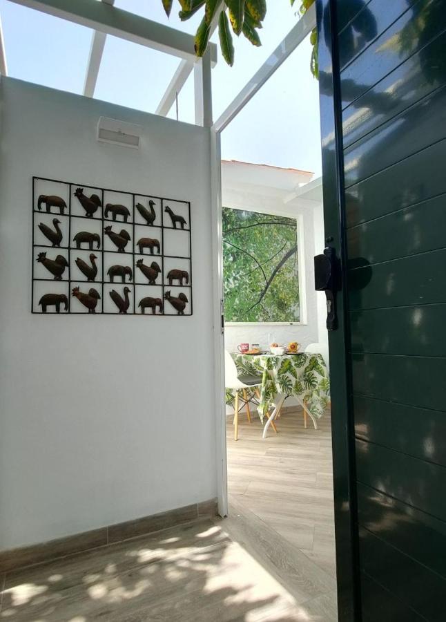 Casa Maga Apartment Maspalomas  Exterior photo